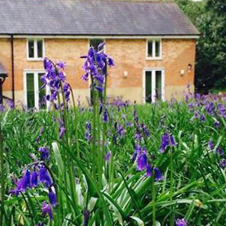 Grooms Cottage Alkham ภายนอก รูปภาพ