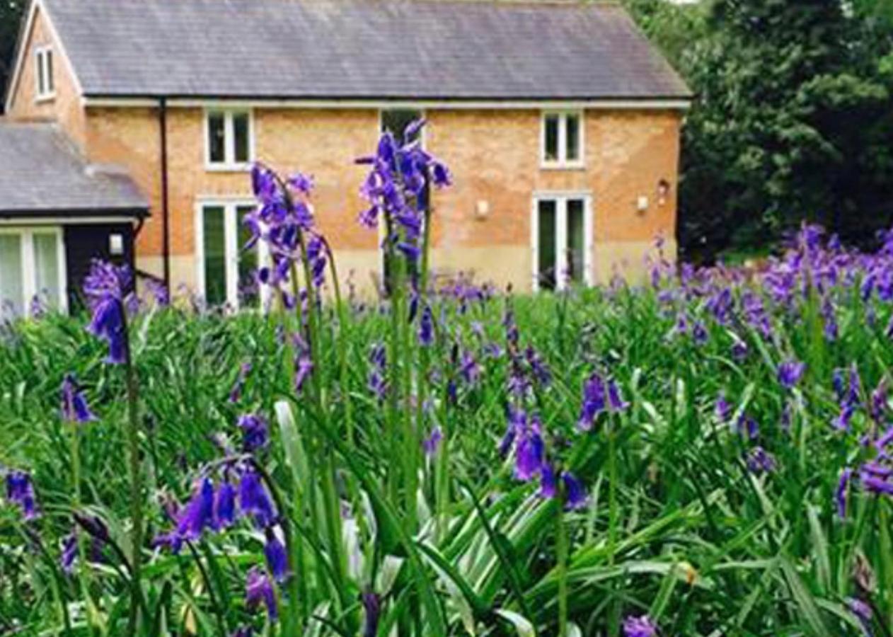 Grooms Cottage Alkham ภายนอก รูปภาพ